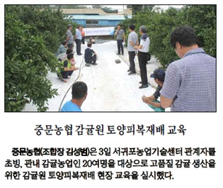 중문농협감귤원 토양피복재배 교육 (2017.07.05 제주매일)